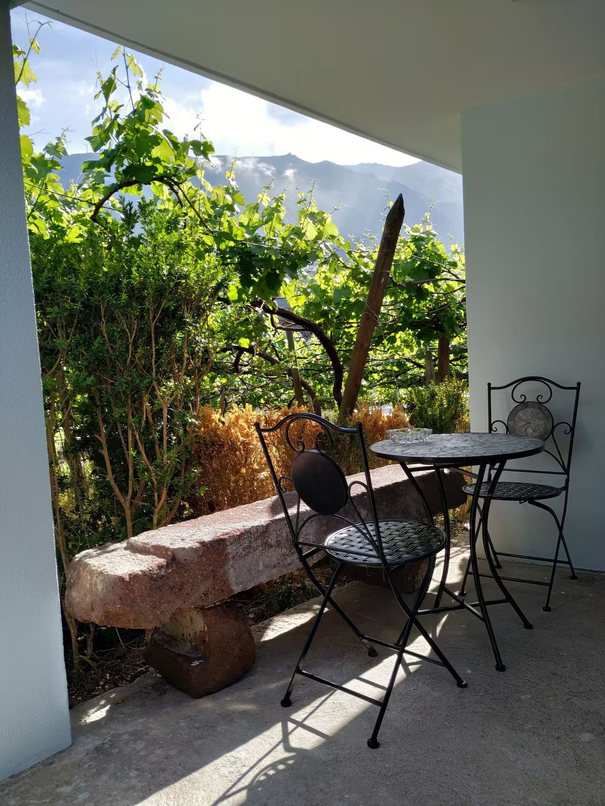 Pátio com mesa e cadeiras junto às vinhas